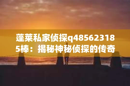 蓬莱私家侦探q485623185棒：揭秘神秘侦探的传奇故事