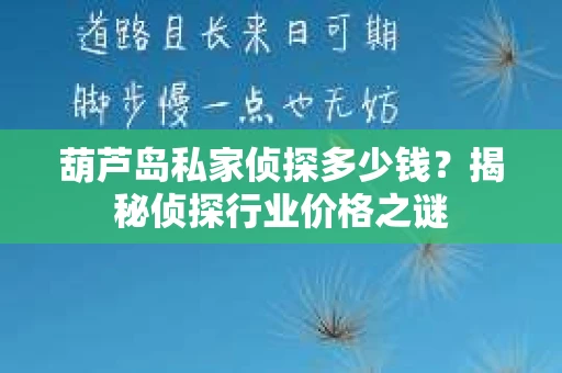 葫芦岛私家侦探多少钱？揭秘侦探行业价格之谜