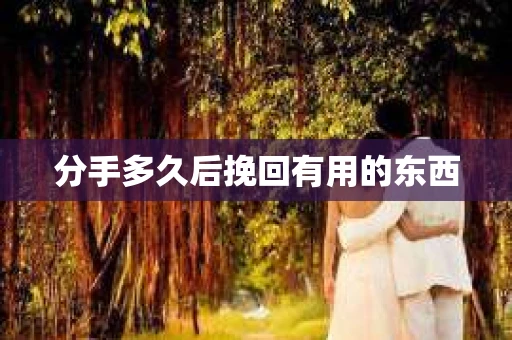 分手多久后挽回有用的东西