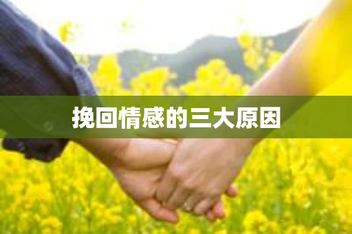 挽回情感的三大原因