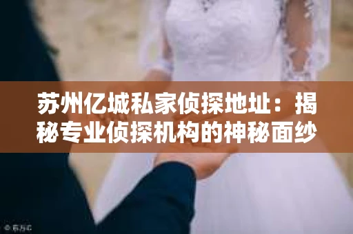 苏州亿城私家侦探地址：揭秘专业侦探机构的神秘面纱