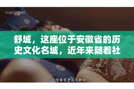 舒城，这座位于安徽省的历史文化名城，近年来随着社会经济的发展，人们的生活节奏加快，对于隐私保护和信息查询的需求也在逐渐增加。那么，问题来了——舒城有私家侦探吗？今天，我们就来聊聊这个话题。