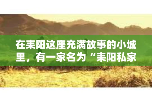 在耒阳这座充满故事的小城里，有一家名为“耒阳私家侦探事务所”的地方，这里的故事，就像这座城市一样，充满了未知和惊喜。今天，就让我带你走进这家神秘的事务所，一探究竟。