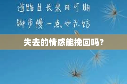 失去的情感能挽回吗? 失去的情感能挽回吗?