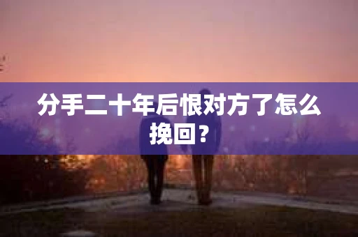 分手二十年后恨对方了怎么挽回？