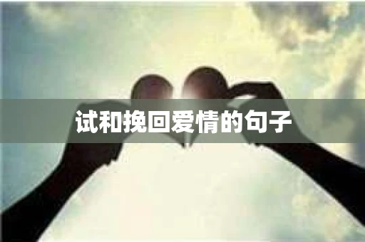 试和挽回爱情的句子 试和挽回爱情的句子