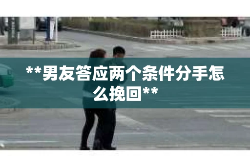 **男友答应两个条件分手怎么挽回**