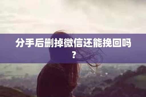 分手后删掉微信还能挽回吗？
