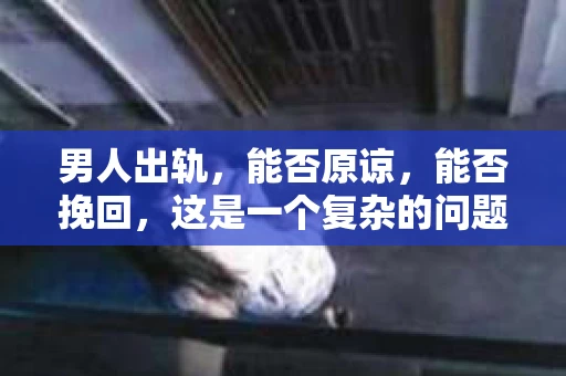 男人出轨，能否原谅，能否挽回，这是一个复杂的问题。在这个问题上，每个人都有自己的看法和经历。今天，我们就来聊聊这个话题，看看男人出轨后，我们该如何面对。