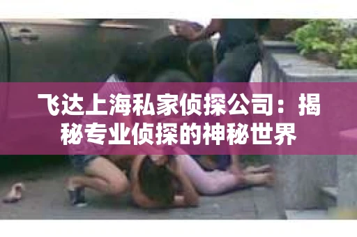 飞达上海私家侦探公司：揭秘专业侦探的神秘世界