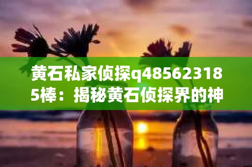 黄石私家侦探q485623185棒：揭秘黄石侦探界的神秘力量