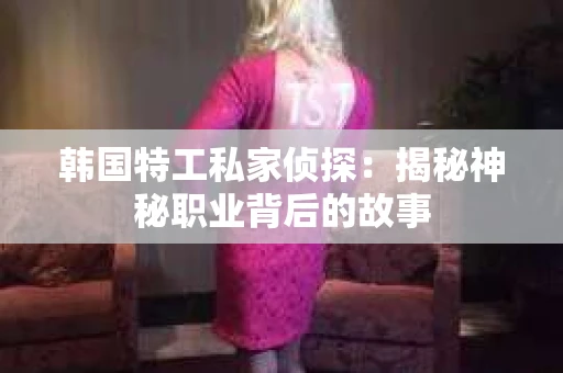 韩国特工私家侦探：揭秘神秘职业背后的故事