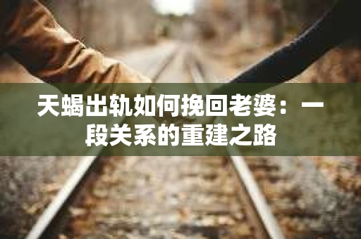 天蝎出轨如何挽回老婆：一段关系的重建之路