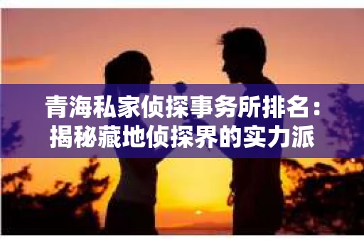 青海私家侦探事务所排名：揭秘藏地侦探界的实力派