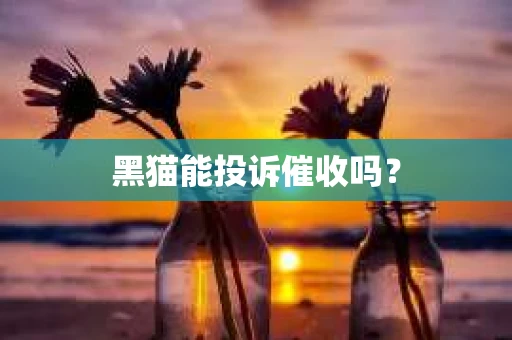 黑猫能投诉催收吗？