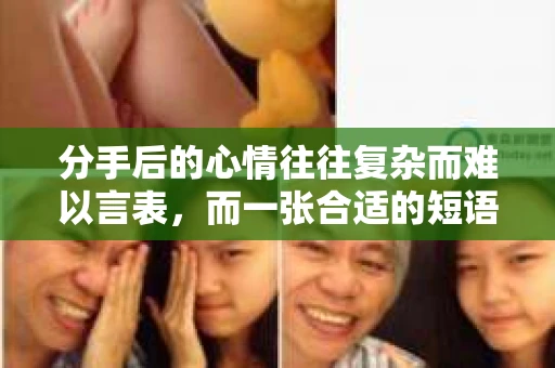 分手后的心情往往复杂而难以言表，而一张合适的短语图片或许能为你带来一丝慰藉。本文将为你提供一些关于分手怎么挽回心情短语图片的精选内容，帮助你走出失恋的阴影，重新找回生活的阳光
