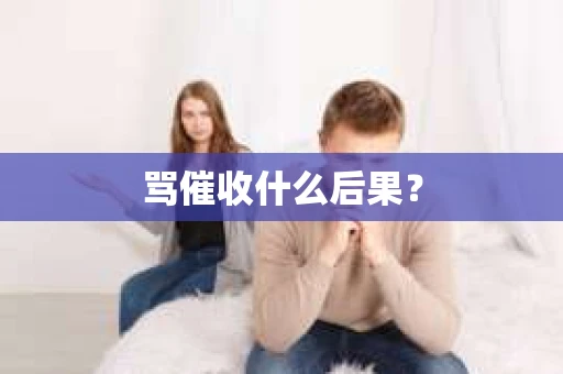 骂催收什么后果？