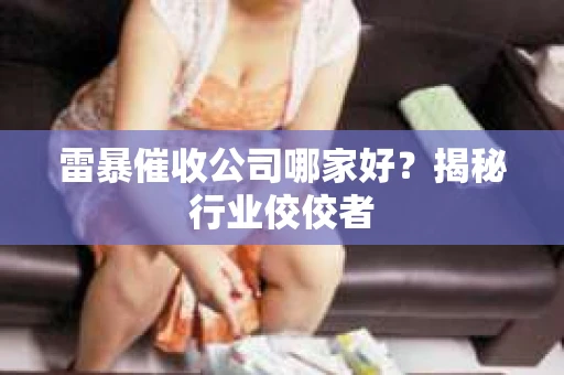 雷暴催收公司哪家好？揭秘行业佼佼者