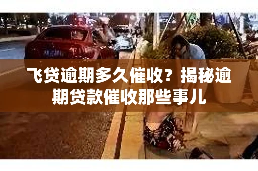 飞贷逾期多久催收？揭秘逾期贷款催收那些事儿