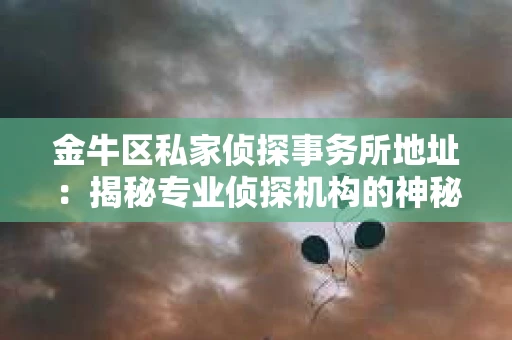 金牛区私家侦探事务所地址：揭秘专业侦探机构的神秘面纱