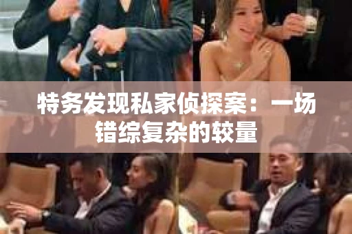 特务发现私家侦探案：一场错综复杂的较量