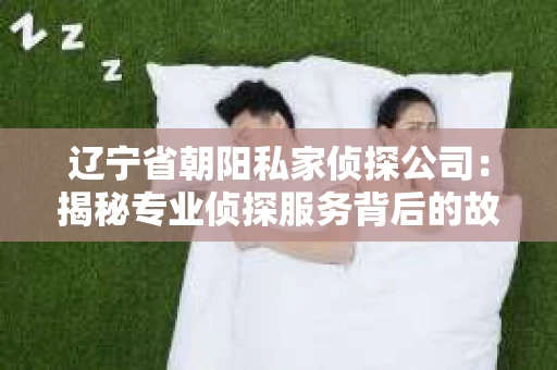 辽宁省朝阳私家侦探公司：揭秘专业侦探服务背后的故事