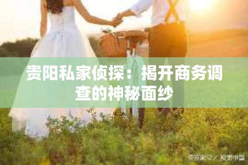 贵阳私家侦探：揭开商务调查的神秘面纱