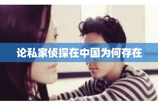 论私家侦探在中国为何存在