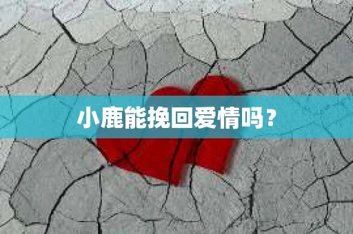 小鹿能挽回爱情吗？
