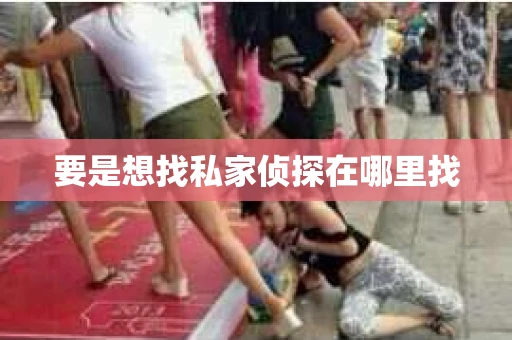 要是想找私家侦探在哪里找
