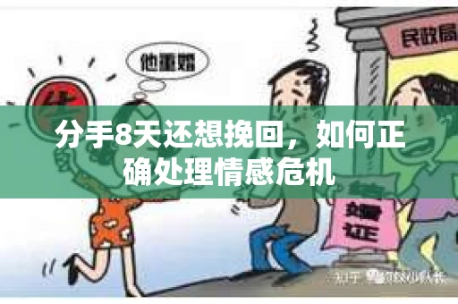 分手8天还想挽回，如何正确处理情感危机