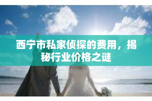西宁市私家侦探的费用，揭秘行业价格之谜